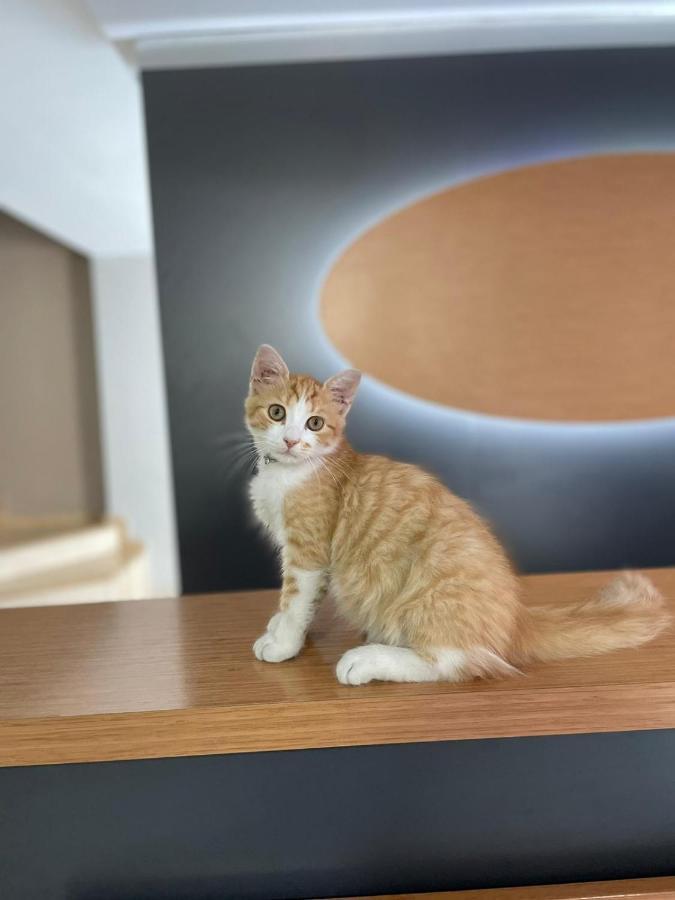 Hotel Otağ Istanboel Buitenkant foto
